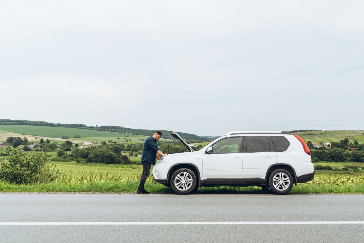 Kvar, kafa i kriza identiteta